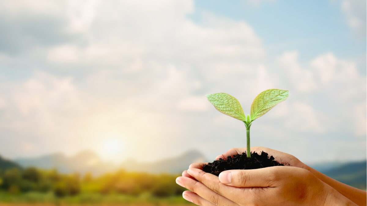 Welche Maßnahmen tragen zur Umweltschonung bei?