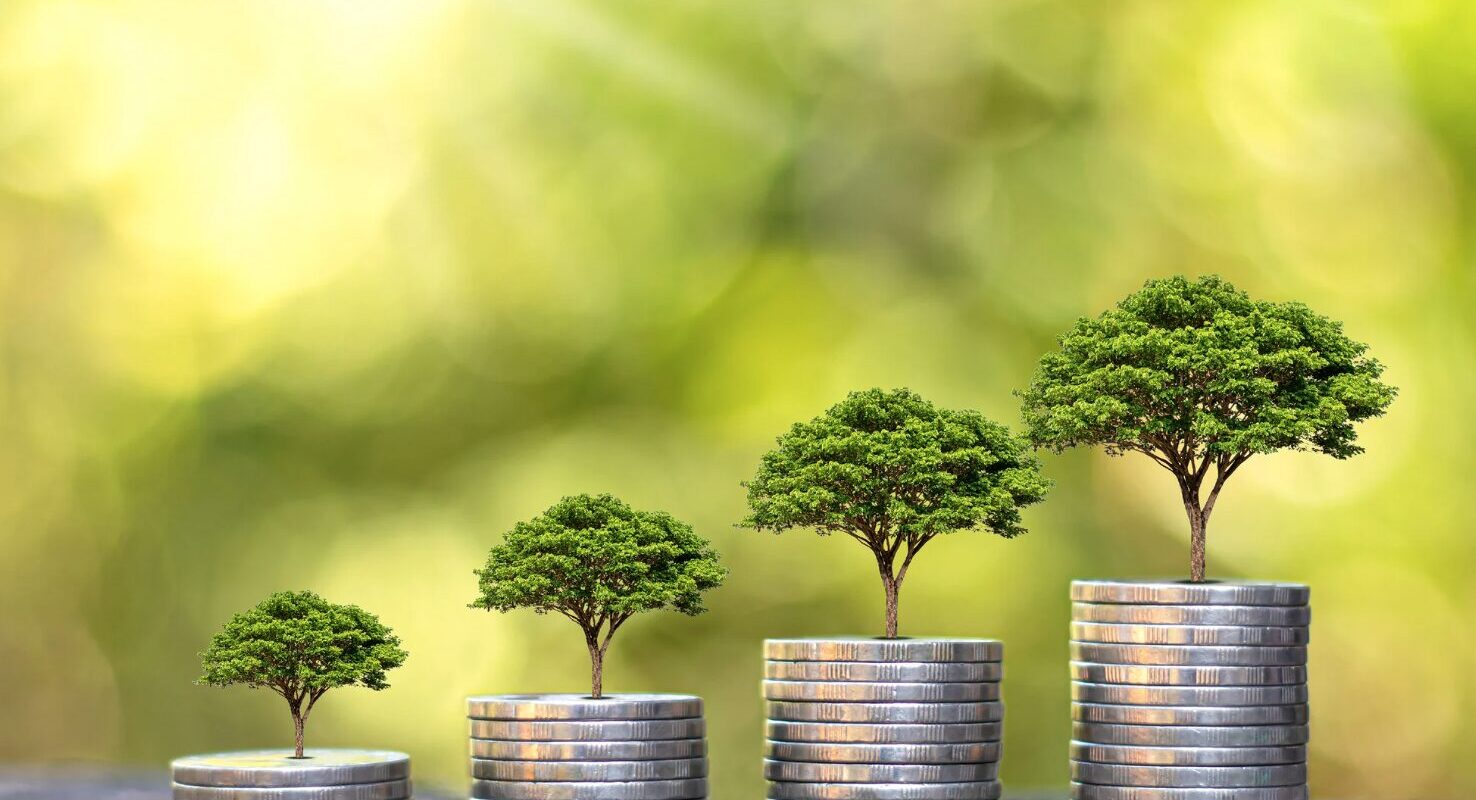 Vermögen Gil Ofarim: das Vermögen der Musiker und Schauspieler