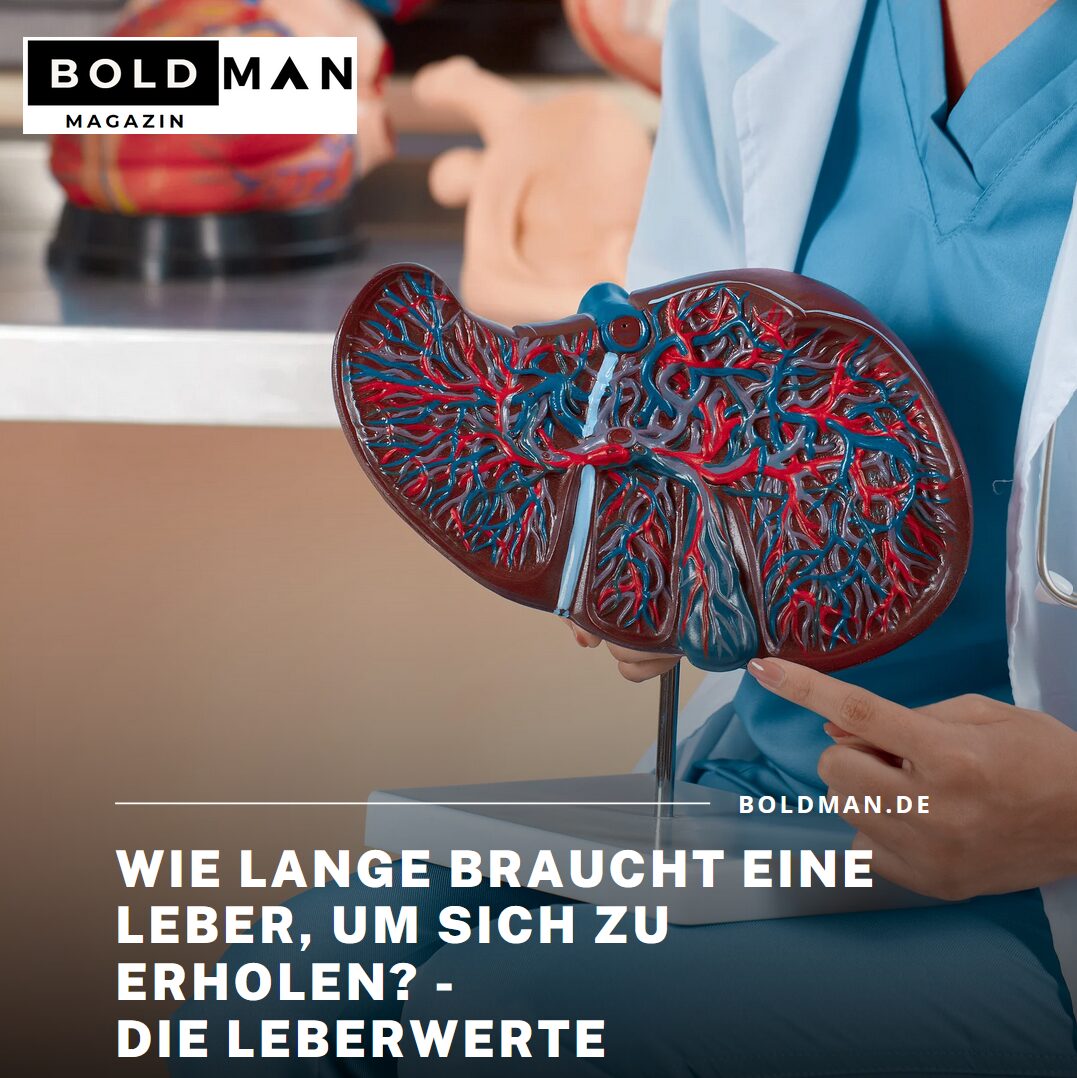 Wie lange braucht eine Leber, um sich zu erholen - die Leberwerte Wie lange braucht eine Leber, um sich zu erholen - die Leberwerte