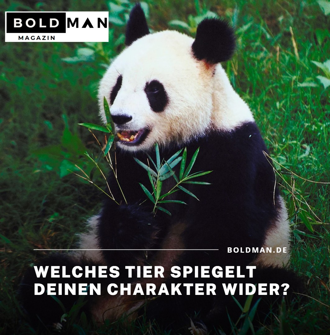 Google Quiz zum Tag der Erde Welches Tier spiegelt deinen Charakter wider Google Quiz zum Tag der Erde Welches Tier spiegelt deinen Charakter wider