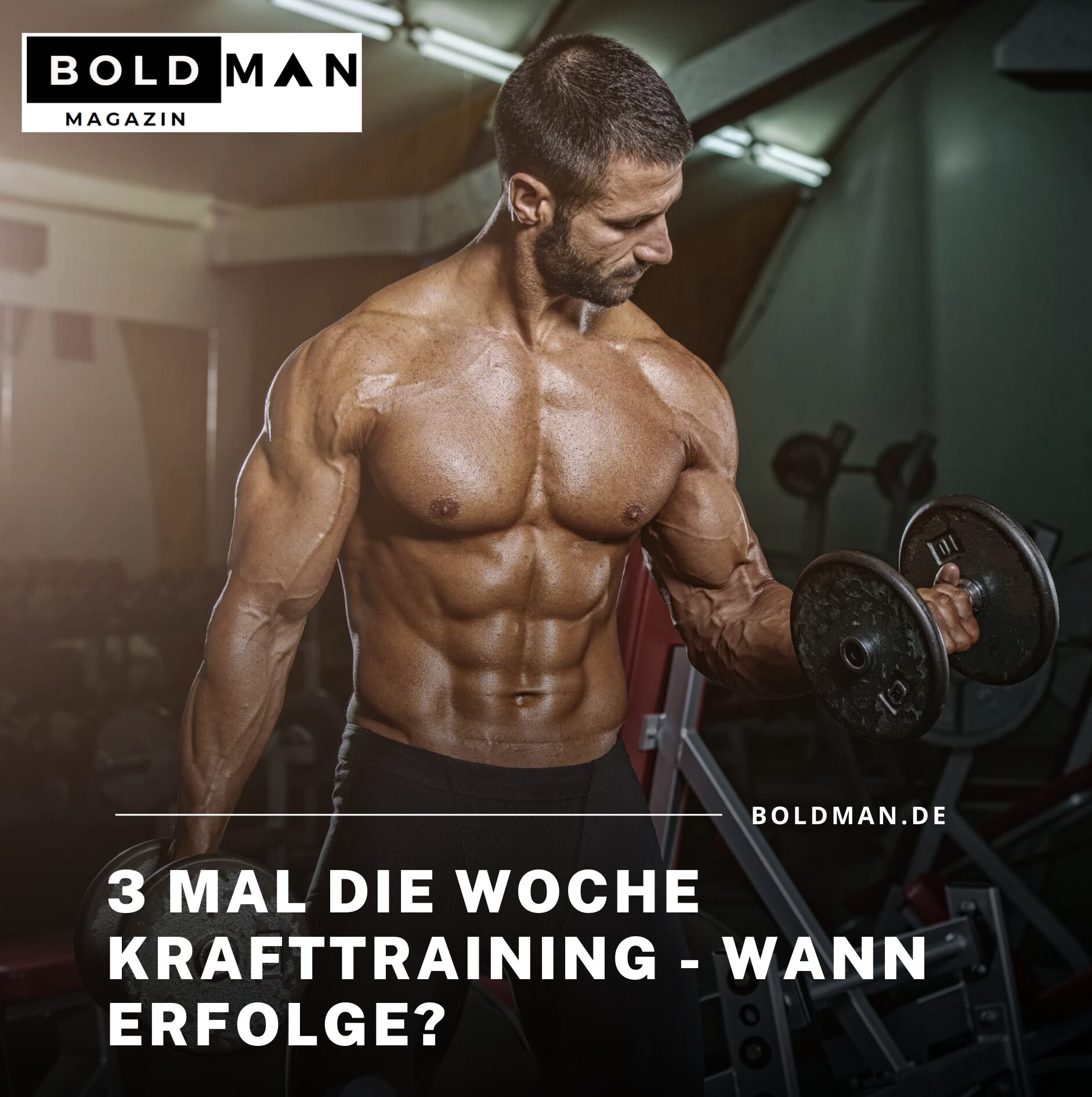 3 mal die Woche Krafttraining - wann Erfolge? 3 mal die Woche Krafttraining - wann Erfolge?