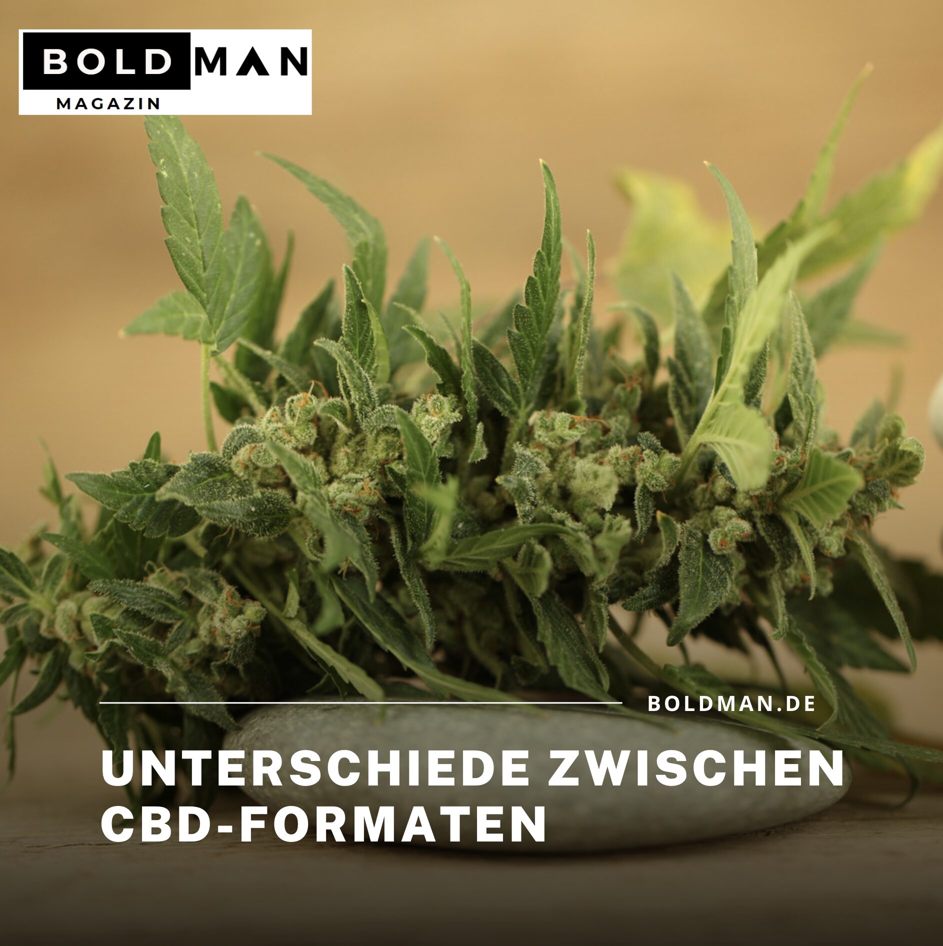 Unterschiede zwischen CBD-Formaten Unterschiede zwischen CBD-Formaten
