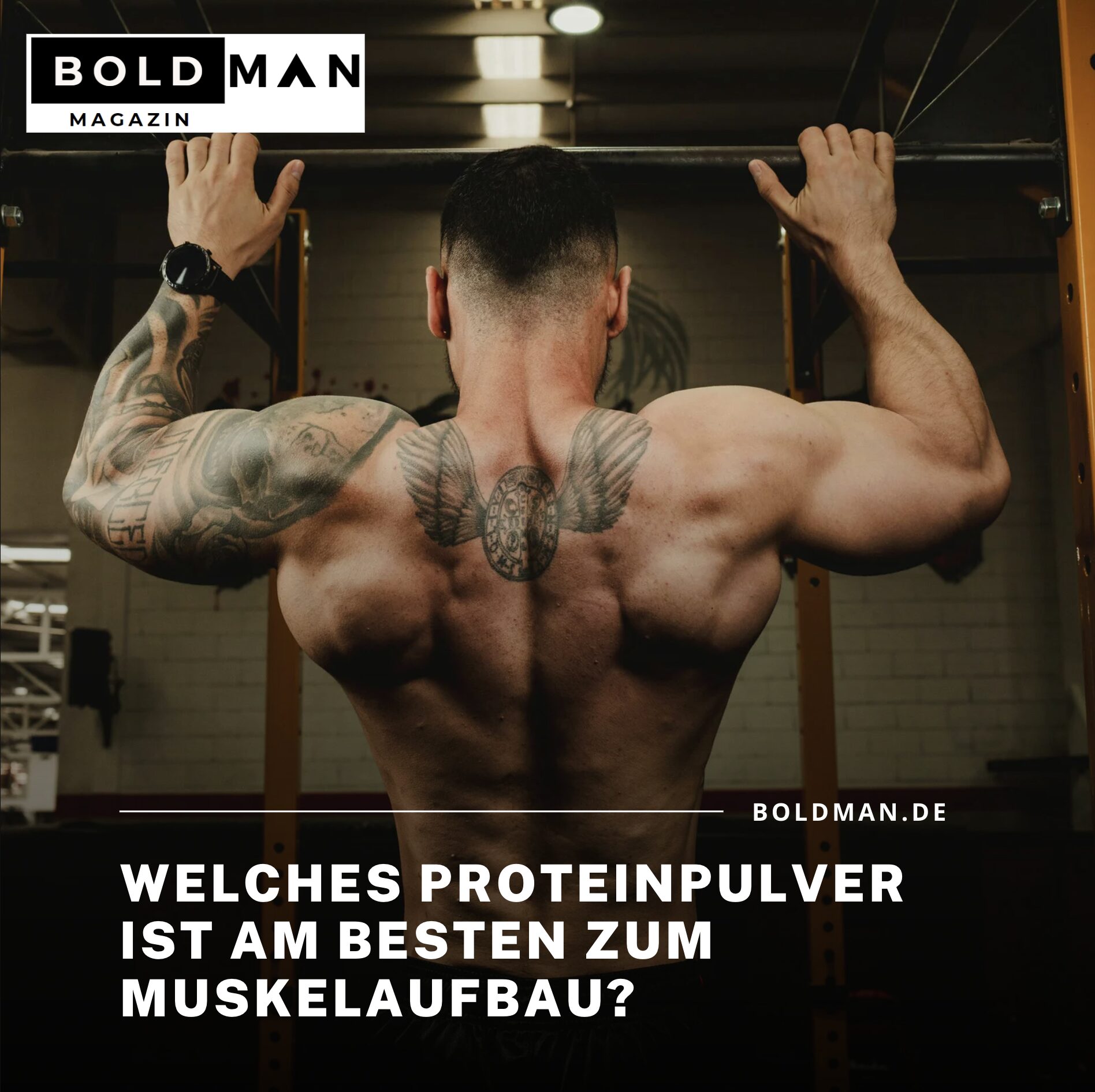 Welches Proteinpulver ist am besten zum Muskelaufbau? Welches Proteinpulver ist am besten zum Muskelaufbau?