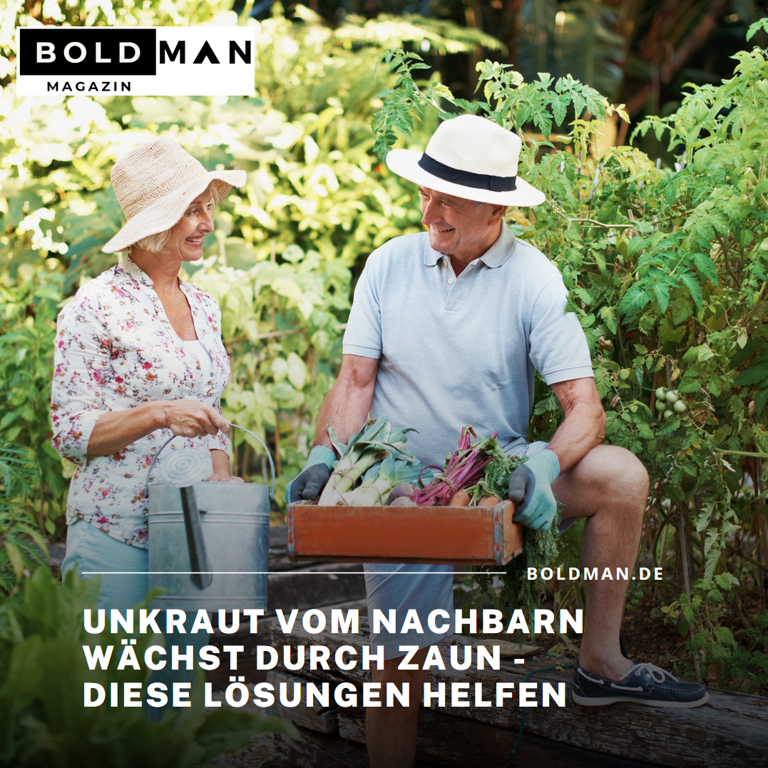 Unkraut vom Nachbarn wächst durch Zaun - diese Lösungen helfen Unkraut vom Nachbarn wächst durch Zaun - diese Lösungen helfen