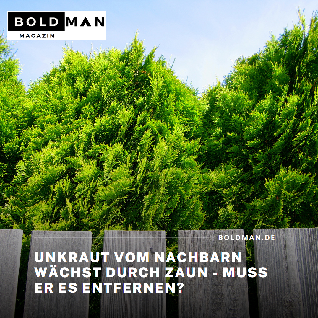 Unkraut vom Nachbarn wächst durch Zaun - muss er es entfernen? Unkraut vom Nachbarn wächst durch Zaun - muss er es entfernen?