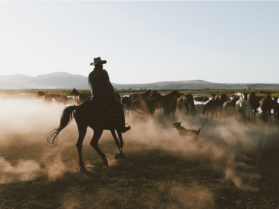 besetzung von dutton ranch